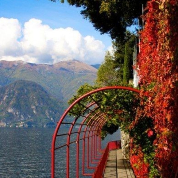 Meet PoshAmbassador, Jenga - Picture 6 of 16